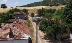 Kütahya'da leylekler bu köyün maskotu oldu