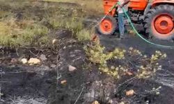 Kütahya'da orman yangını paniğe sebep oldu