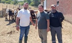 Tunçbilek'te daha sağlıklı hayvancılık için ilaçlama yapıldı