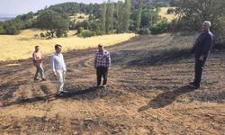 Kütahya Mustafalar köyünde yangın sonrası zarar gören alanlarda hasar tespit çalışması
