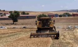 Kütahya'da 18 farklı nohut çeşidi aynı tarlada tanıtıldı
