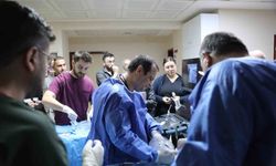 Kütahya'da uluslararası hekimlere 'mikrodalga ablasyon' eğitimi