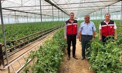 Simav'da seracılık faaliyetleri yerinde incelendi