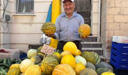 Tavşanlı'nın meşhur Kışlademirli kavunu pazara indi