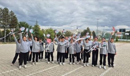 Hisarcık'ta 'Uçurtmalar Vurulmasın, Gökyüzü Çocuklara Kalsın' etkinliği