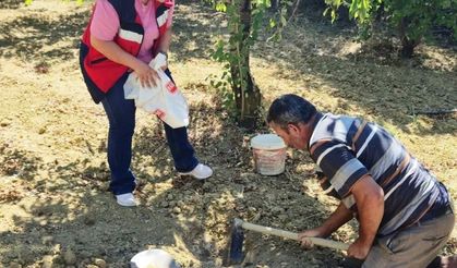 Pazarlar'da üreticilere bilinçli gübreleme desteği
