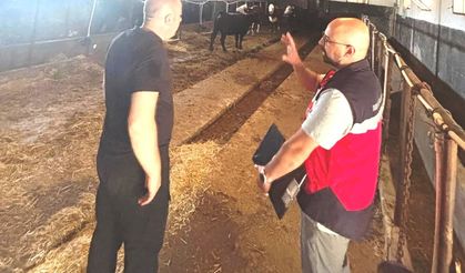 Tavşanlı'da Destek Projesi kapsamındaki ithal hayvanlar kontrolden geçirildi
