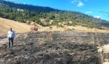 Emet'te ot yangını: 2 dekar alan zarar gördü