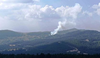 Hisarcık'ta ormana sıçrayan yangında 6 dekar alan zarar gördü
