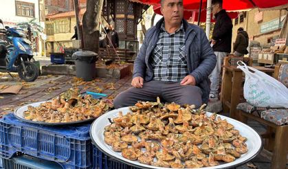Tavşanlı'da melki mantarı hareketliliği başladı