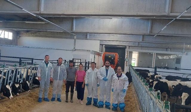 Hisarcık'ta ilk hastalıktan ari büyükbaş işletmesi için önemli adım