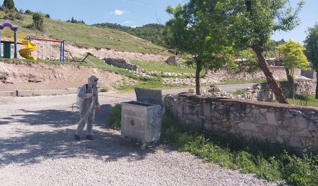Kütahya İl Özel İdaresi'nden temizlik ve ilaçlama seferberliği
