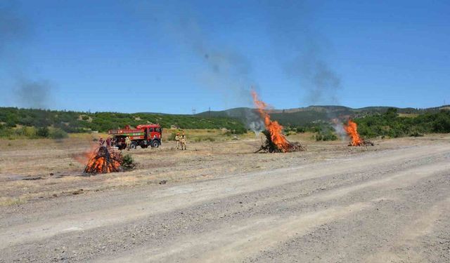 Kütahya'da orman yangını tatbikatı