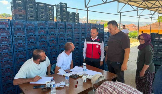 Simav İlçe Tarım ve Orman Müdürlüğünden kiraz alım merkezlerine ziyaret