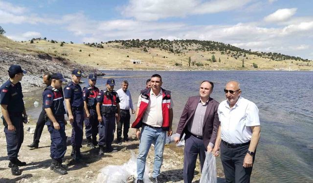 Aslanapa Kureyşler Göleti'ne 140 bin sazan yavrusu bırakıldı
