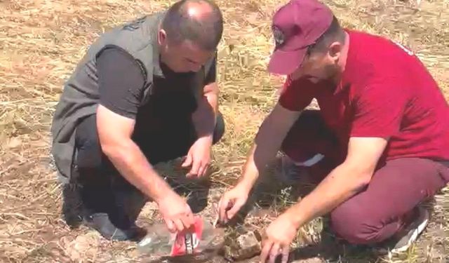 Emet'te alevlerin arasından kurtarılan kaplumbağa yürekleri ısıttı