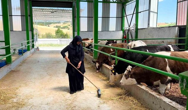 Gediz'de 12 milyon TL'lik büyükbaş besi işletmesi faaliyete geçti