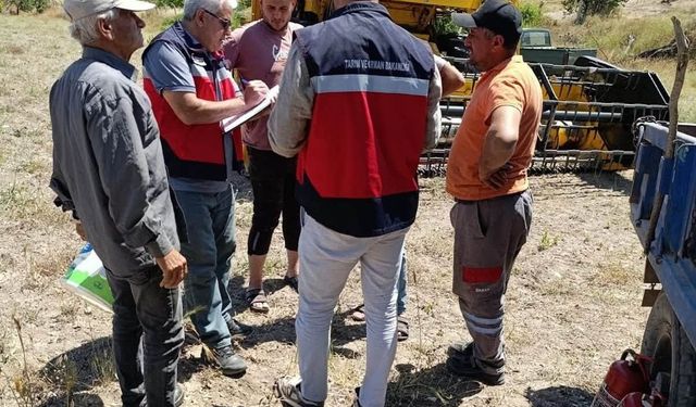 Gediz'de biçerdöverle hasat kontrolleri sürüyor