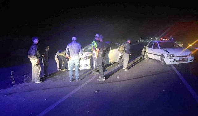Koyun sürüsü zincirleme kazaya sebep oldu: 1'i çocuk 3 kişi yaralandı, 6 koyun telef oldu