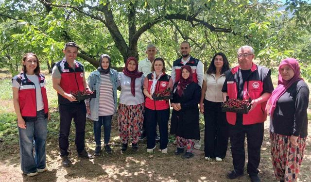 Kütahya'da organik tarım ve iyi tarım projeleri masaya yatırıldı