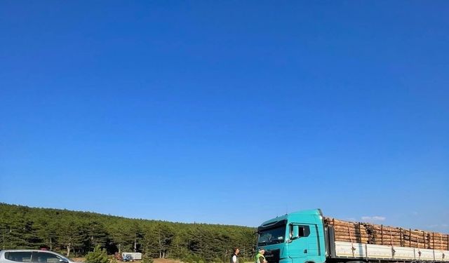Kütahya'da orman emvali yüklü araçlara sıkı denetim