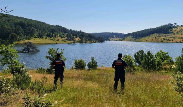 Kütahya'da orman yangınlarına karşı jandarma teyakkuza geçti