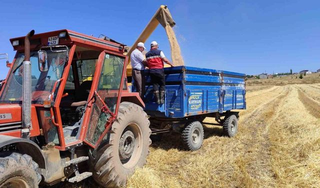Kütahya'da yerli ve milli arpa çeşitlerinin hasadı yapıldı