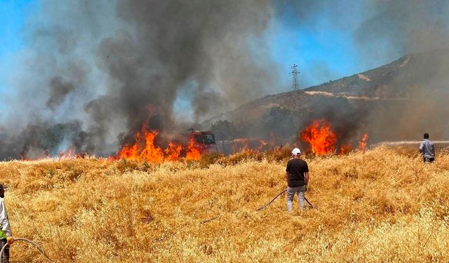 Simav'da buğday tarlasındaki yangında 50 dekar alan zarar gördü
