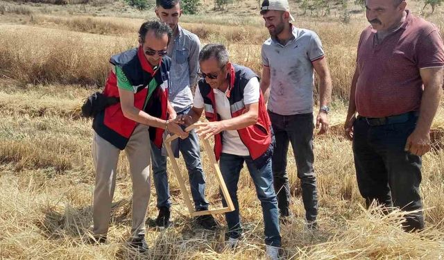 Tavşanlı'da biçerdöver kontrolleri sürüyor