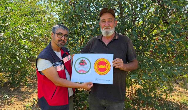 Şaphane Vişnesi için tescil çalışmaları sürüyor
