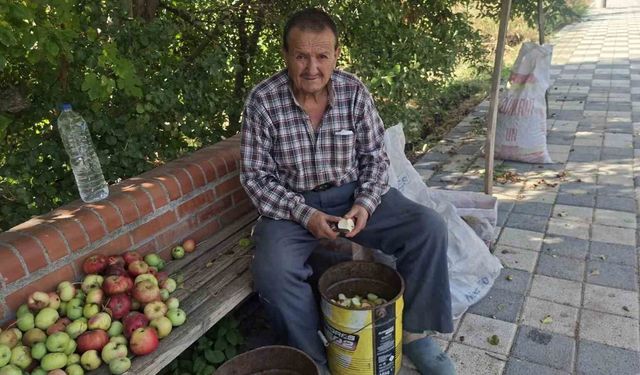 Hisarcık'ta elma kurusu fiyatı düştü, üretici yükseliş bekliyor