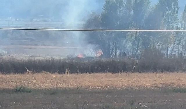 Tavşanlı'da arazi yangını