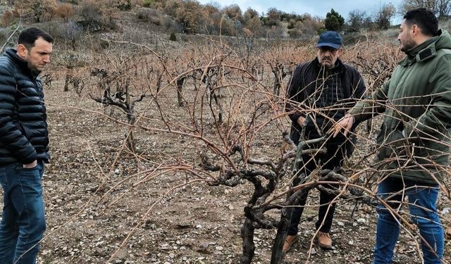 Emet’te pekmez evi ve üzüm bağlarında inceleme