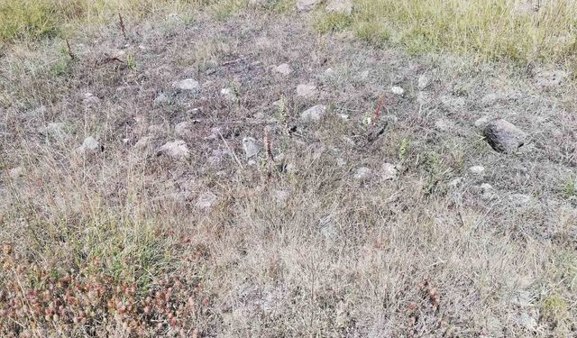 Cevizdere Şehitleri Gazileri Derneği kapatılma tehlikesiyle karşı karşıya