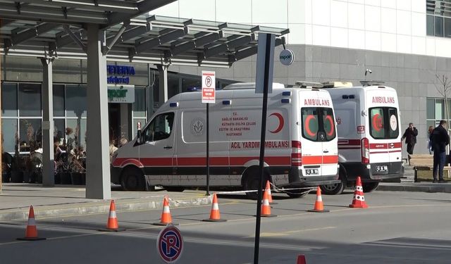 Kütahya’da sahipsiz köpeklerin saldırısına uğrayan anne ile kızı yaralandı