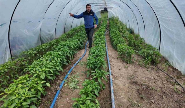 Gediz Ilıca Termal Tatil Köyünde hem sağlık hem de doğal lezzetler bir arada