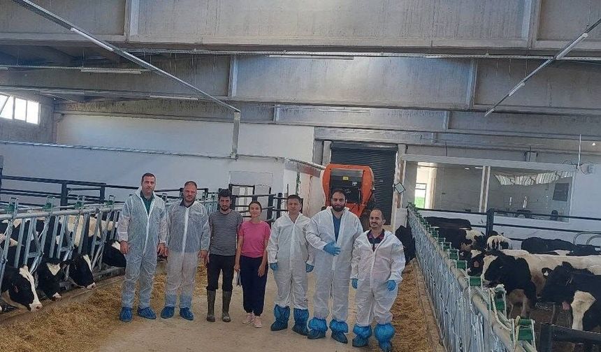 Hisarcık'ta ilk hastalıktan ari büyükbaş işletmesi için önemli adım