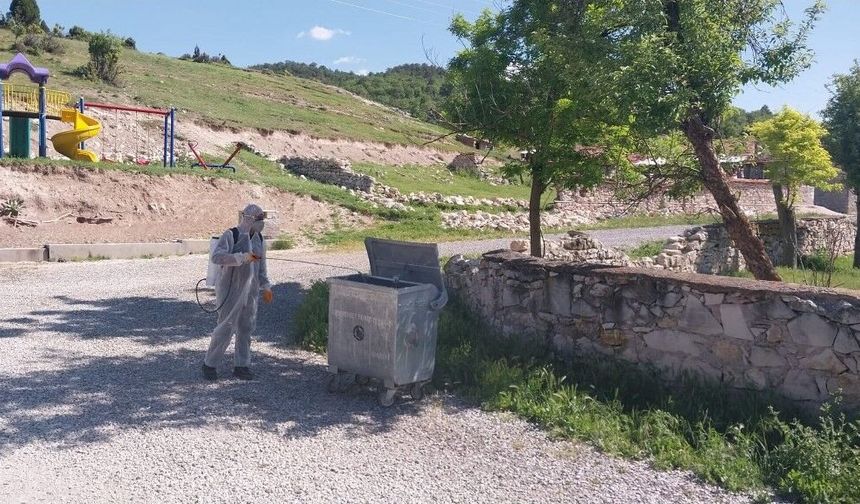 Kütahya İl Özel İdaresi'nden temizlik ve ilaçlama seferberliği