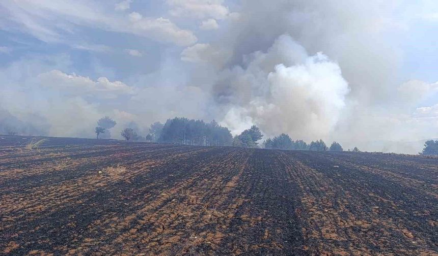 Emet'te ormanlık alana sıçrayan yangın kontrol altına alındı