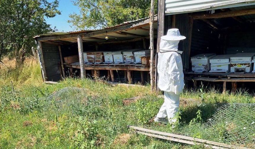 Hisarcık Karbasan köyünde arıcılık faaliyetleri denetlendi