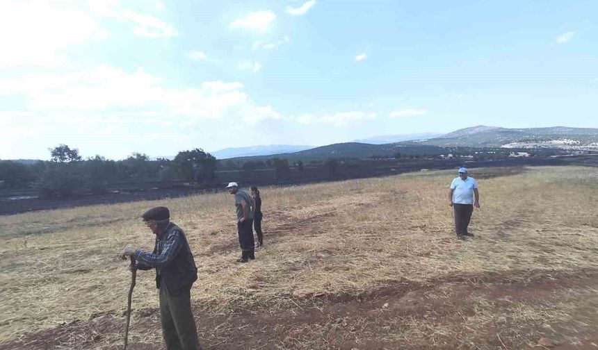 Kütahya'da yangının ardından tarım arazilerinde hasar tespiti