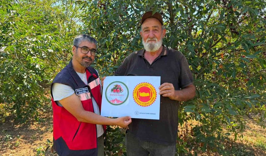 Şaphane Vişnesi için tescil çalışmaları sürüyor
