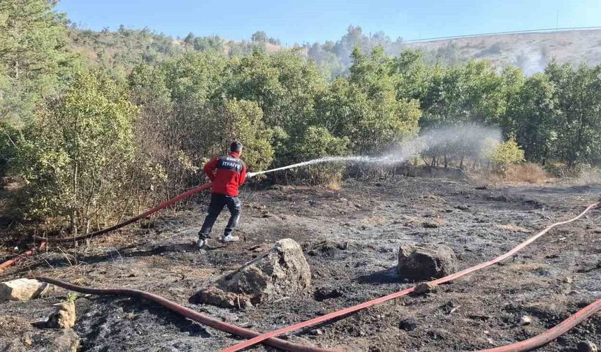 Emet'te dağlık alanda orman yangını