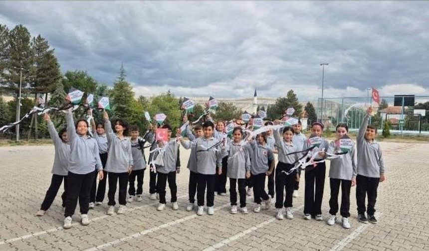 Hisarcık'ta 'Uçurtmalar Vurulmasın, Gökyüzü Çocuklara Kalsın' etkinliği