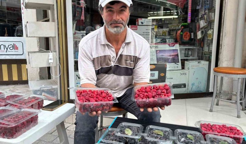 Kıraç arazileri aronya ve ahududugil yetiştirerek değerlendirdi