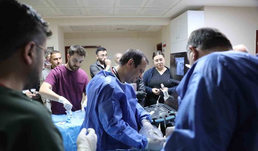 Kütahya'da uluslararası hekimlere 'mikrodalga ablasyon' eğitimi