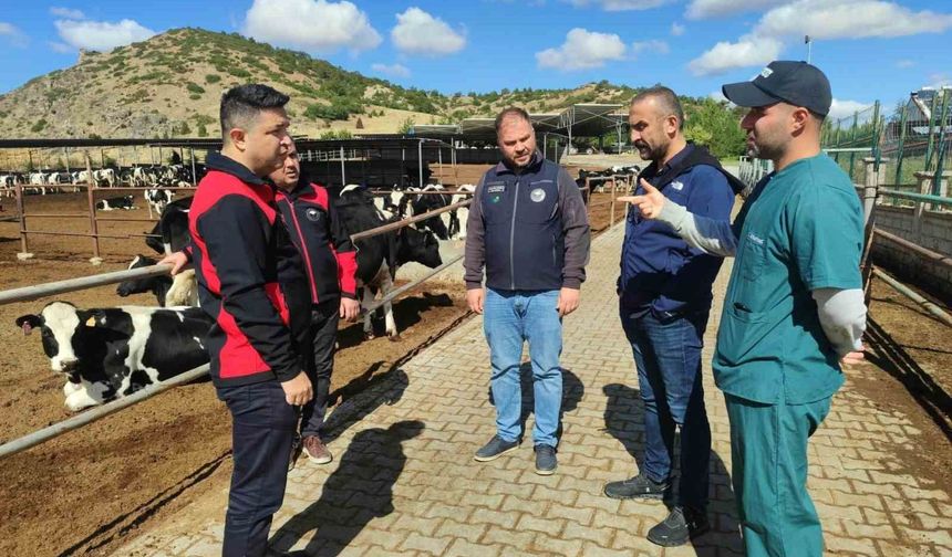 Müdür Ertan Keleş,' Hastalıktan Ari İşletmeler, üreticilerimize avantaj sağlıyor'