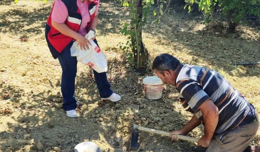 Pazarlar'da üreticilere bilinçli gübreleme desteği