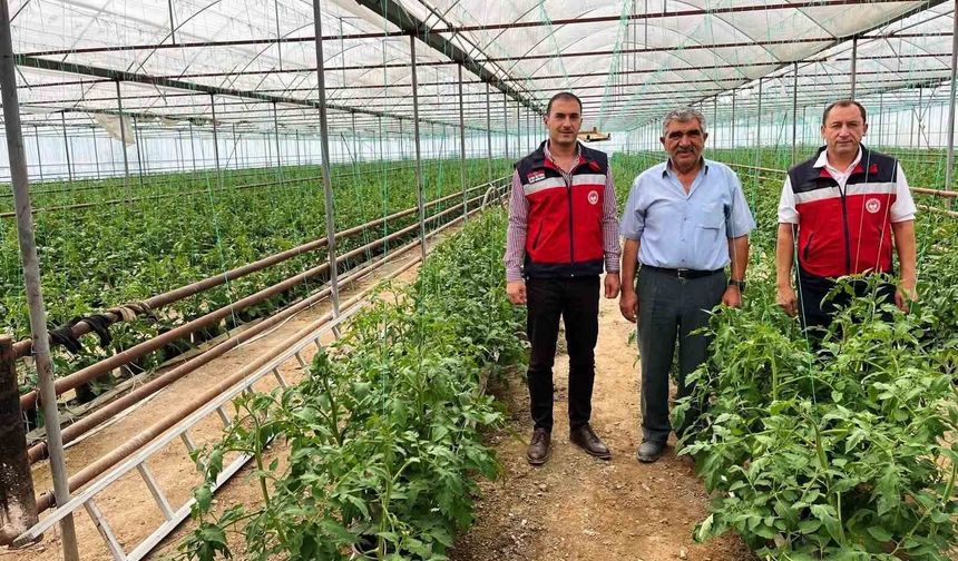 Simav'da seracılık faaliyetleri yerinde incelendi