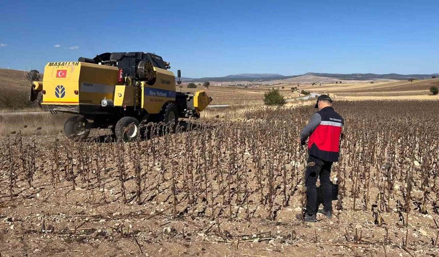 Aslanapa'da yüzde 75 hibeli ayçiçeğinde hasat kontrolleri